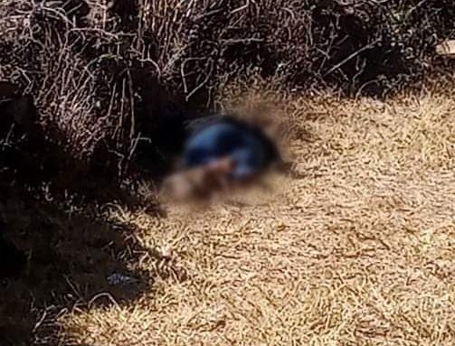 Joven es hallada muerta en Tzintzuntzan; presenta signos de violencia