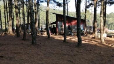 FOTOS: Localizan campamento relacionado en hechos ilícitos en el lago de Zirahuén