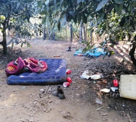 FOTOS: Localizan campamento relacionado en hechos ilícitos en el lago de Zirahuén