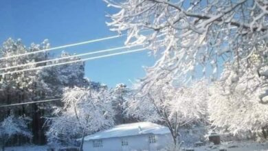 VIDEO: Cae nieve en Chihuahua y se pinta de blanco [2020]