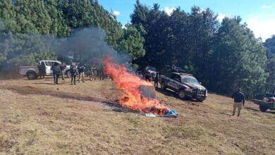 FOTOS: Destruyen 3 narco campamentos equipados en Salvador Escalante, Michoacán