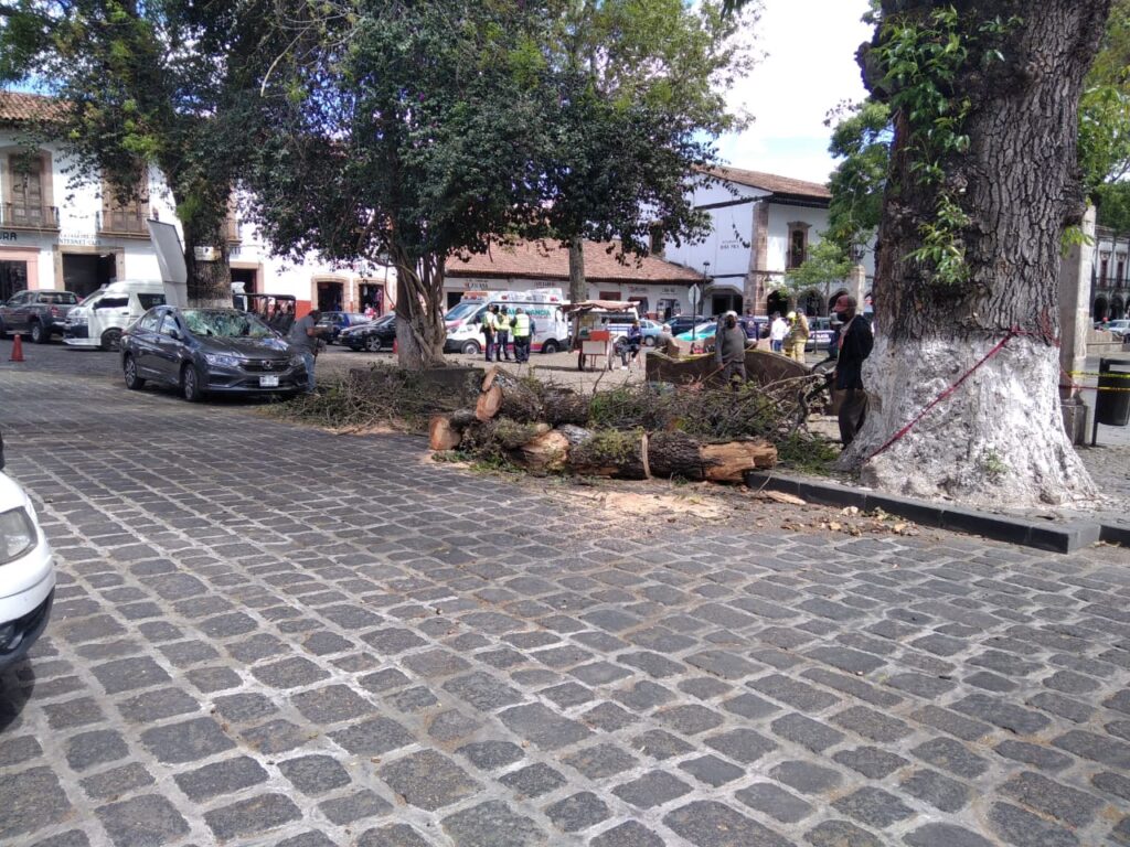 En Pátzcuaro, cae rama de árbol sobre un auto en la Plaza Vasco de Quiroga
