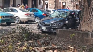 En Pátzcuaro, cae rama de árbol sobre un auto en la Plaza Vasco de Quiroga