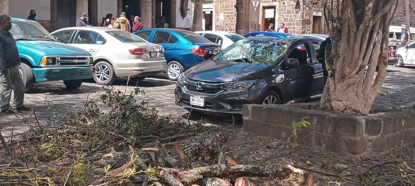 En Pátzcuaro, cae rama de árbol sobre un auto en la Plaza Vasco de Quiroga