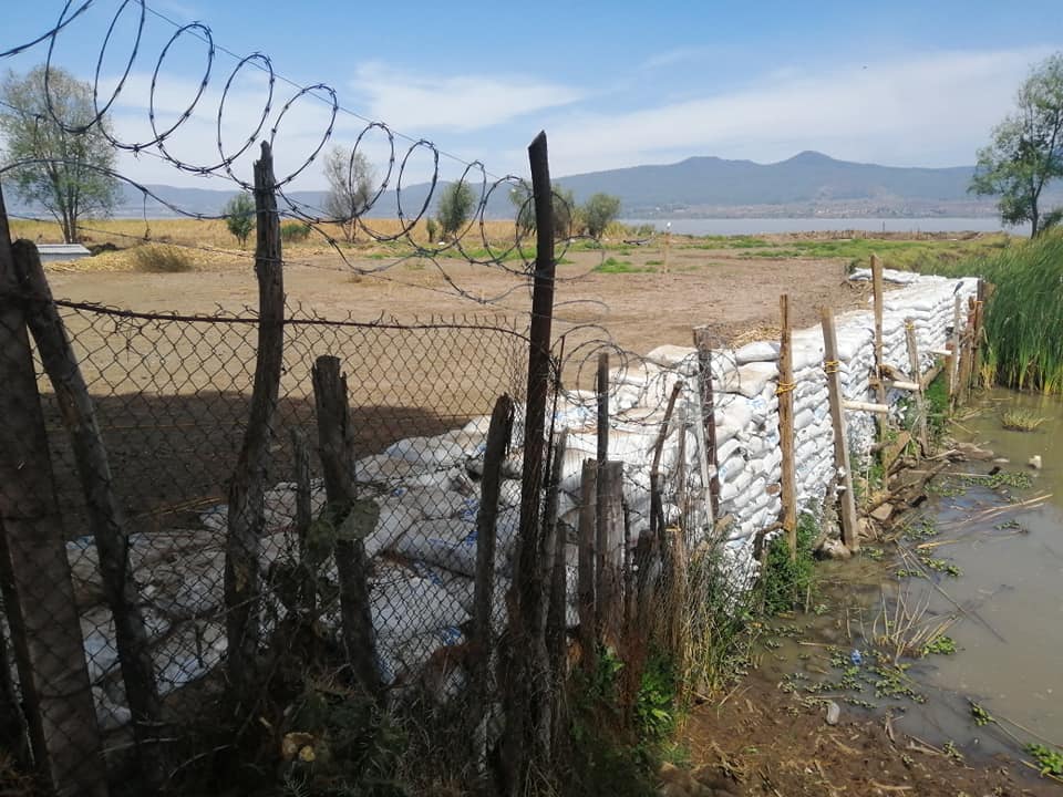 En Tzintzuntzan, secan el lago de Pátzcuaro para ampliar terrenos particulares 3