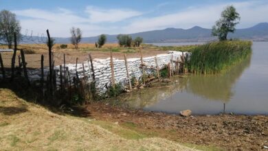 FOTOS: Así secan el lago de Pátzcuaro para ampliar sus terrenos particulares