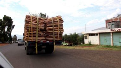 Aseguran en Pátzcuaro predio relacionado con delitos contra el medio ambiente