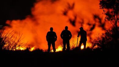 incendio forestal patzcuaro capacitacion