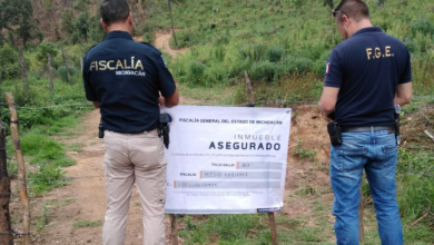 Fiscalía asegura predio en Pátzcuaro donde talaron árboles forestales para plantar aguacate