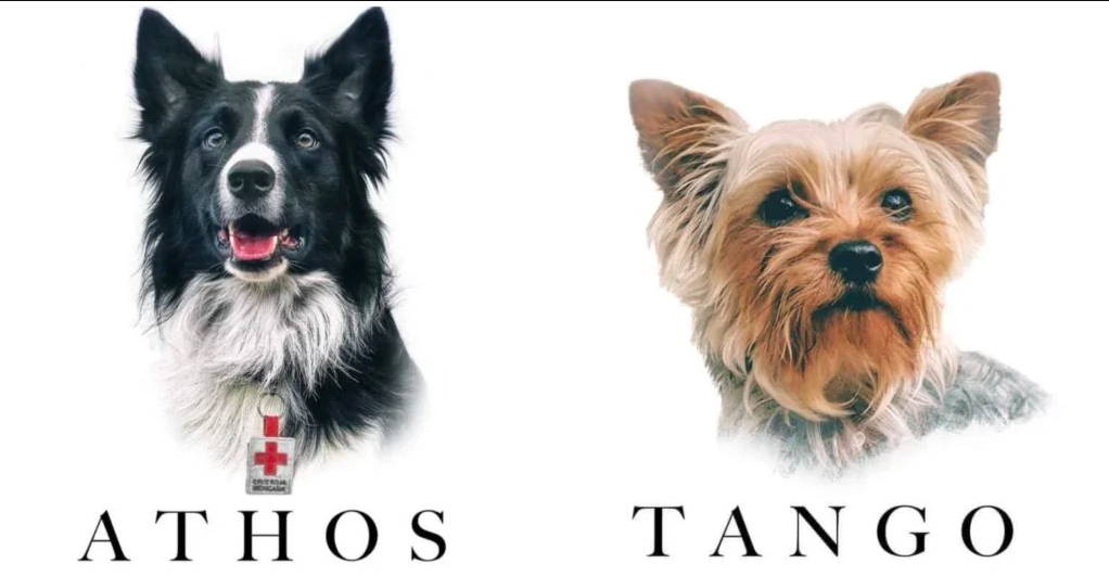 athos tango perros