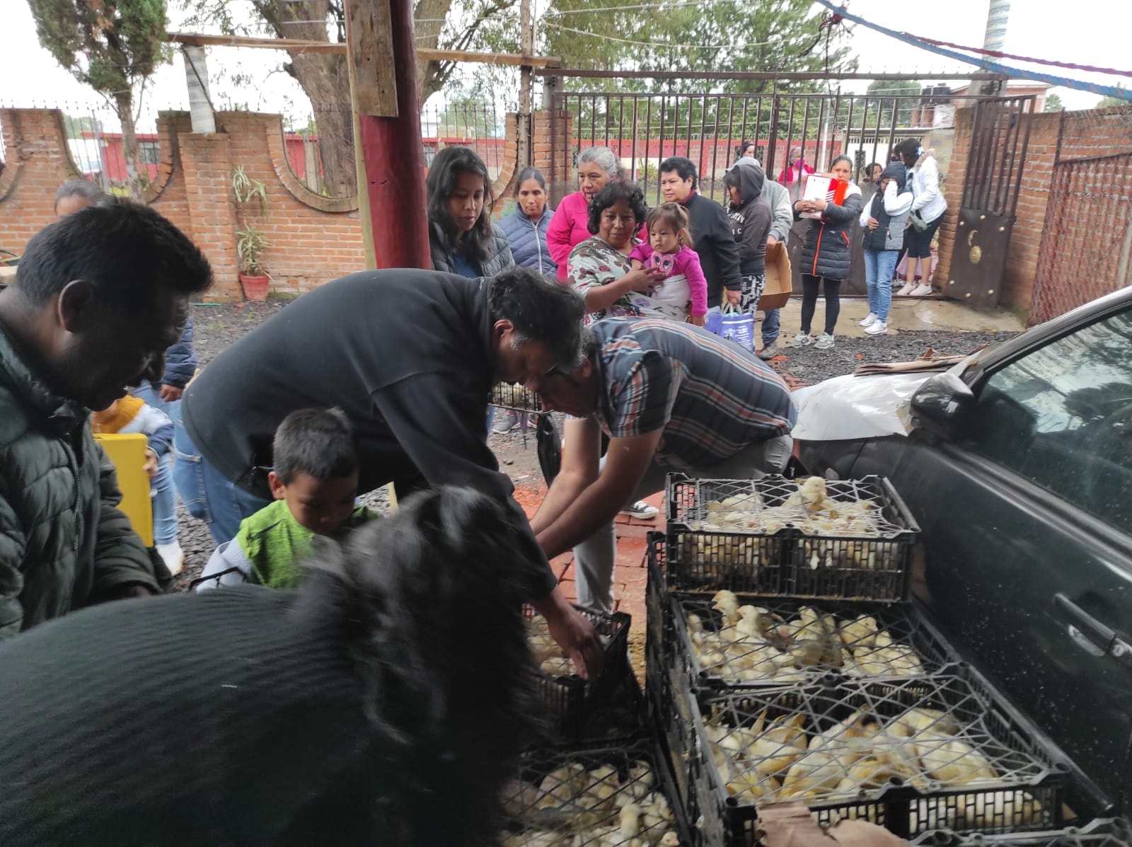 Entrega Julio Arreola beneficios a 80 familias de Pátzcuaro [FOTOS]