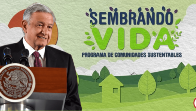 Inauguran en Pátzcuaro oficinas del programa federal Sembrando Vida