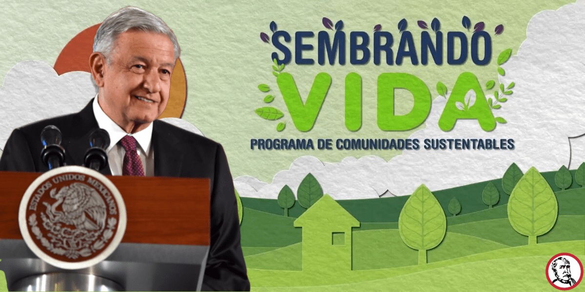 Inauguran en Pátzcuaro oficinas del programa federal Sembrando Vida