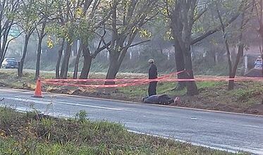 ÚLTIMA HORA: Encuentran cuerpo sin vida en la carretera Pátzcuaro-Morelia