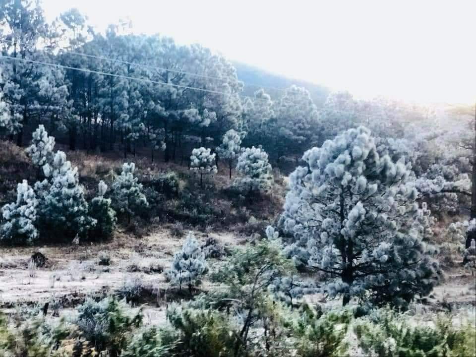 Nahuatzen se pinta de blanco