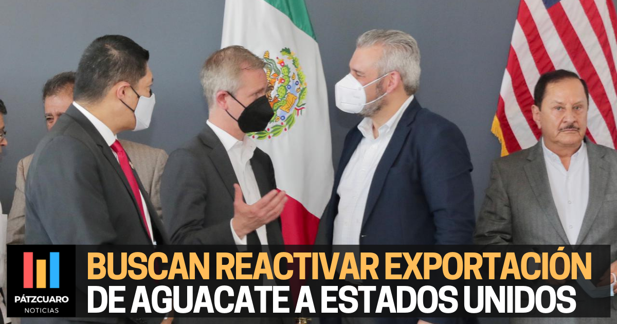 Proyecto De Exportacion De Aguacate A Estados Unidos