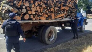 Aseguran en Pátzcuaro camión con cargamento de madera de procedencia ilícita