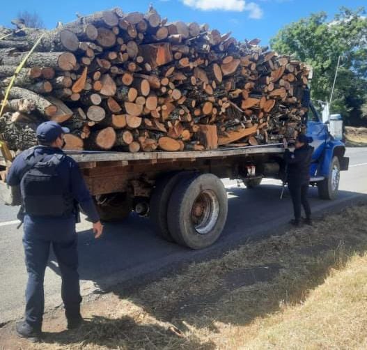Aseguran en Pátzcuaro camión con cargamento de madera de procedencia ilícita