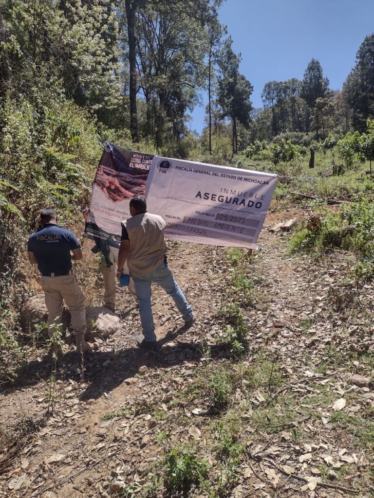 huerta clandestina en Pátzcuaro
