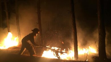 incendio estribo grande patzcuaro