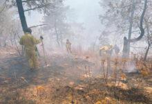 incendio forestal pátzcuaro