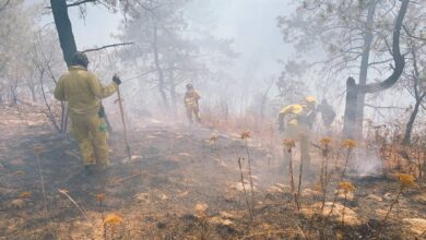 incendio forestal pátzcuaro