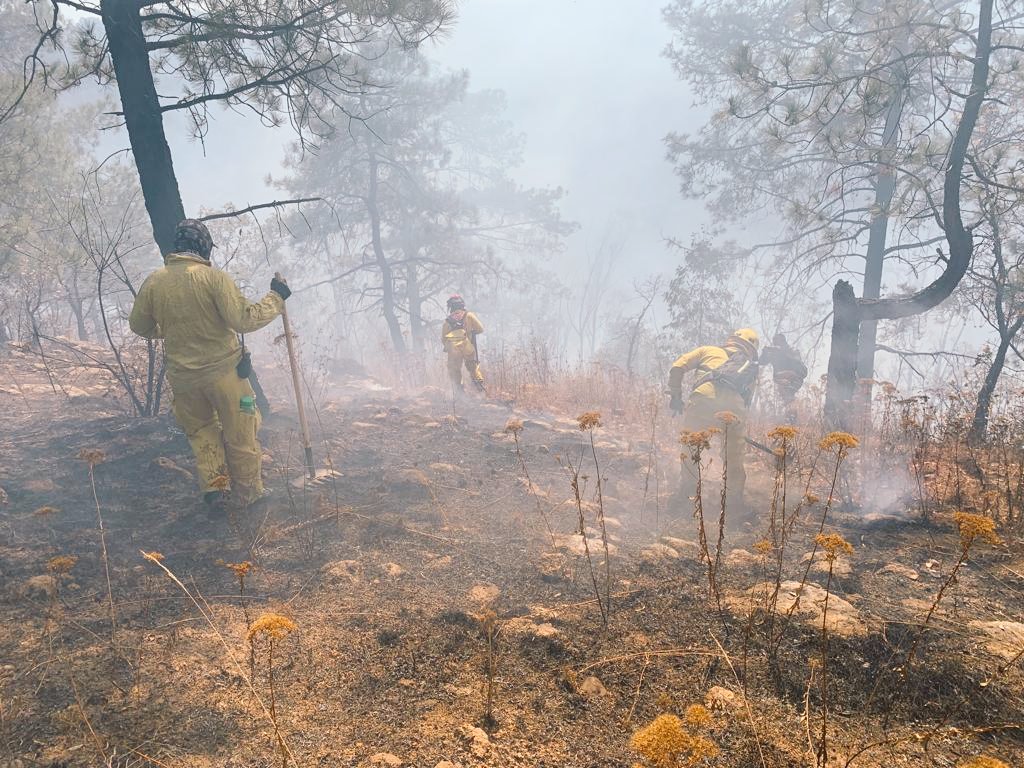 incendio forestal pátzcuaro