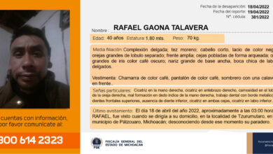 RAFAEL GAONA TALAVERA