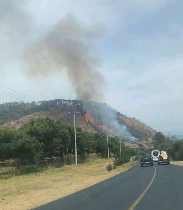 incendio Cerro de Jicalán