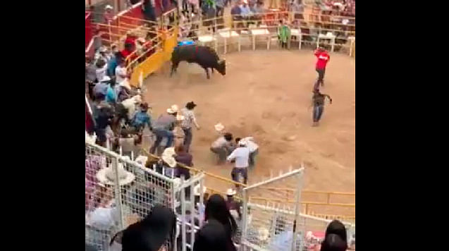 Toro pisotea a jinete varias veces durante jaripeo en Michoacán