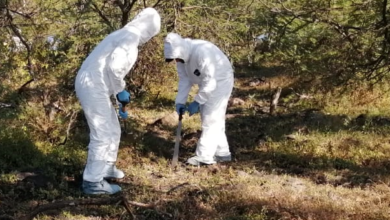 fosas clandestinas en michoacan