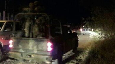 narcocampamento michoacan