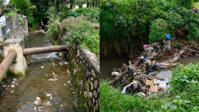 aguas negras patzcuaro