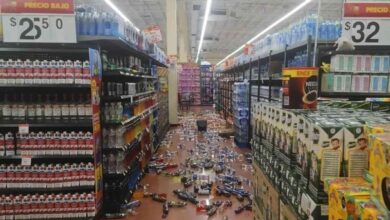 temblor michoacan