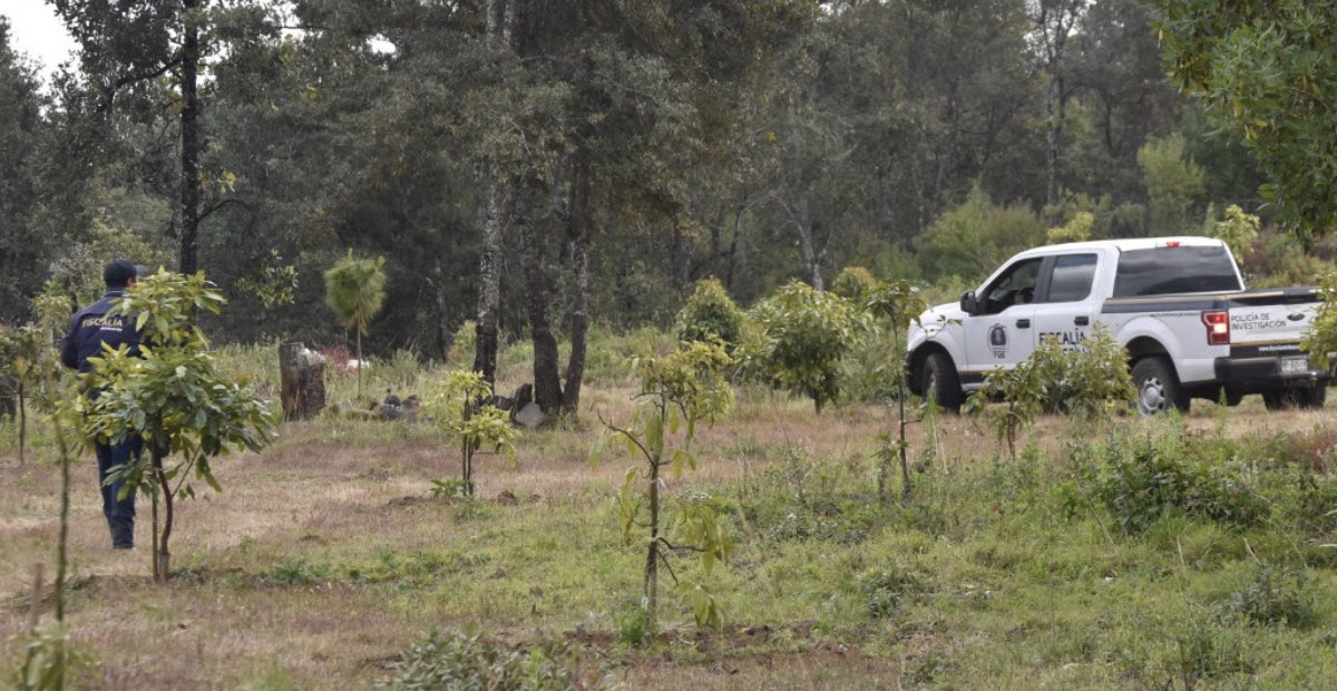 Localizan fosa clandestina con 10 cadáveres en Michoacán