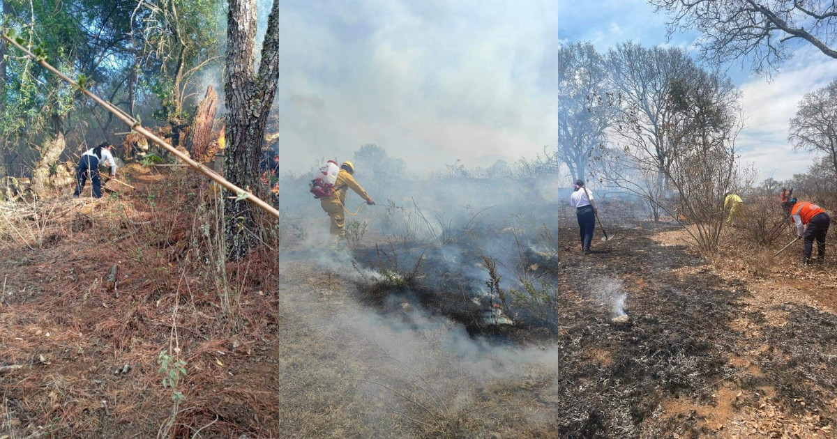 El incendio forestal en Tzintzuntzan persiste tras tres días de esfuerzos