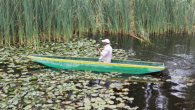 compesca Michoacán se enfoca en la conservación del lago de Pátzcuaro