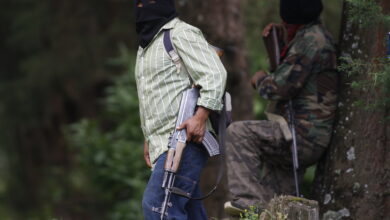 Guardia Regional Purépecha: Un nuevo grupo armado de Michoacán