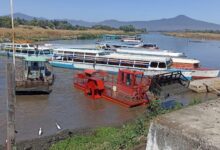 En operación permanente, brigadas de limpieza en el lago de Pátzcuaro: Compesca