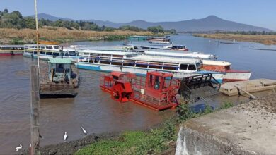 En operación permanente, brigadas de limpieza en el lago de Pátzcuaro: Compesca