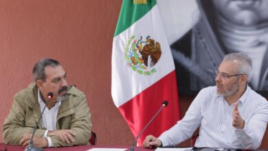 Prepara Gobierno de Michoacán certificación para exportación de aguacate